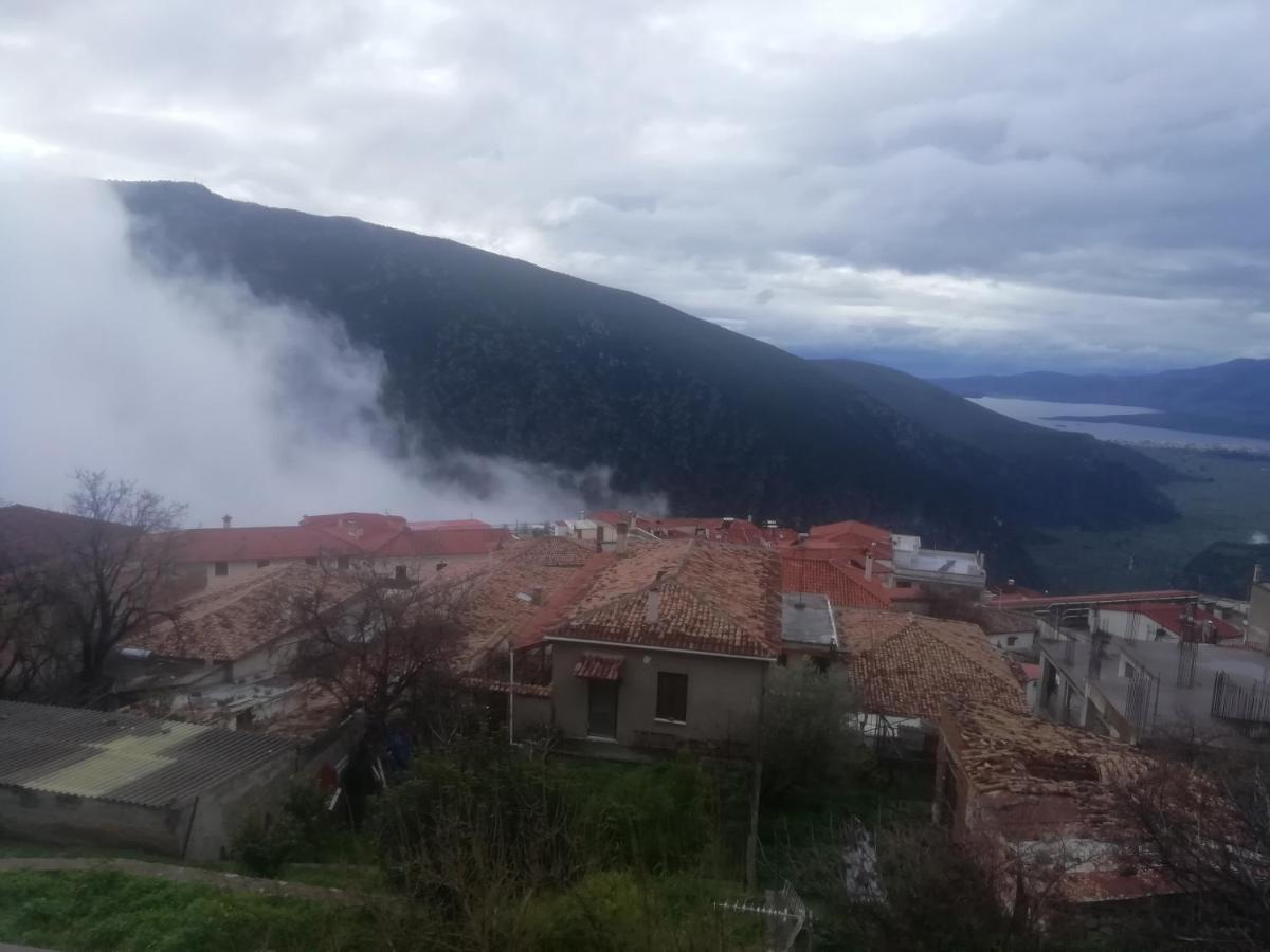 Castri Hotel Delphi Exteriér fotografie