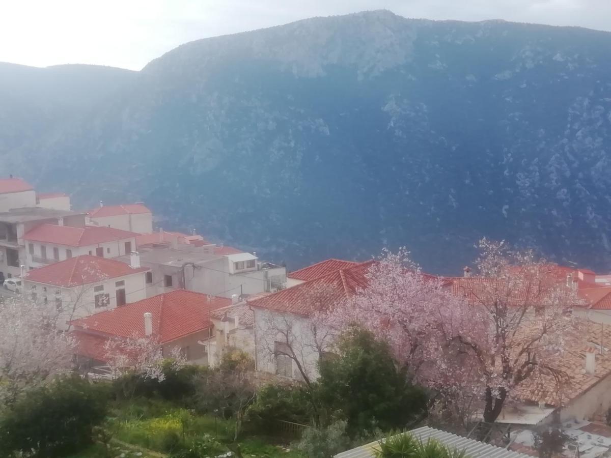 Castri Hotel Delphi Exteriér fotografie